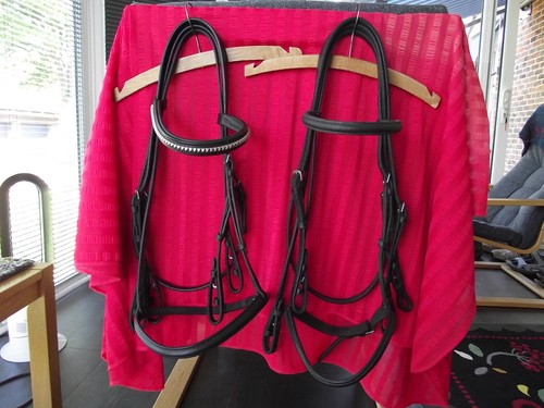 Double bridles cob - bridles, size