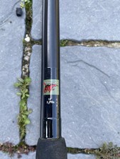 dragon carp 12ft 2 piece rod