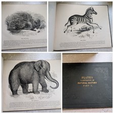 THIRTY PLATES NATURAL HISTORY