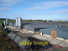 Photo 6x4 Chicken rearing