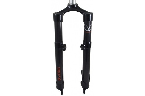 Exotic rigid carbon mtb - exotic,