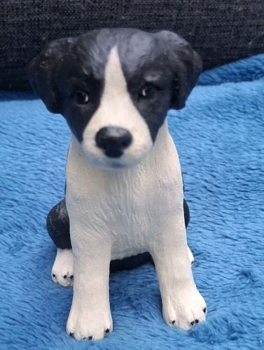 Boarder collie pup - boarder, ornament