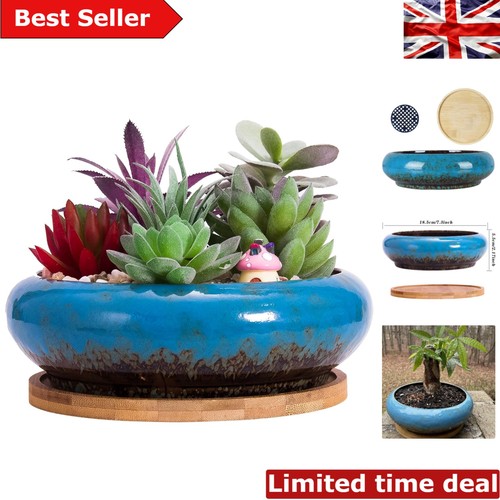Large glazed succulent pot - large,
