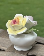 Vtg Aristocrat Bone China