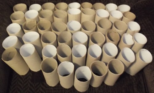 Toilet roll cardboard - toilet,