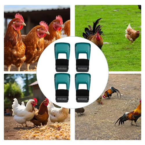 4pcs chicken nesting boxes for - chicken,