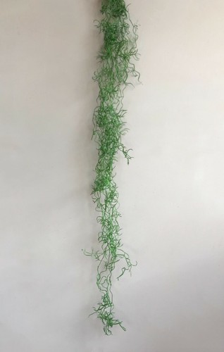 Hanging spanish moss - hanging,