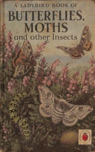 Butterflies moths and other - butterflies,,