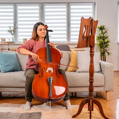 Glarry spruce panel cello - glarry,