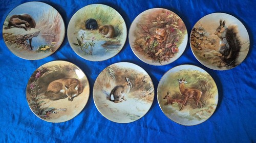 Royal worcester - 7,