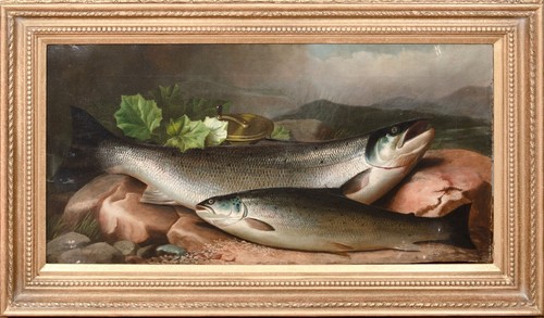 19th century salmon the - century,
