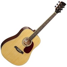 Brunswick Dreadnought Acoustic