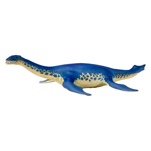 Cryptoclidus dinosaur animals - cryptoclidus,