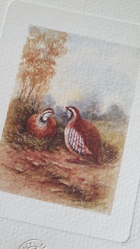 Set vintage delta prints - 4,