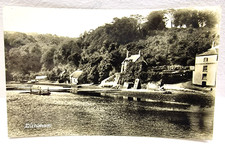 Dittisham Village E Wise