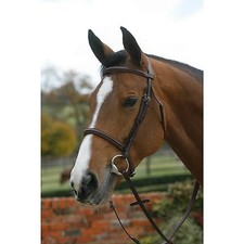 Mark Todd Plain Raised Bridle