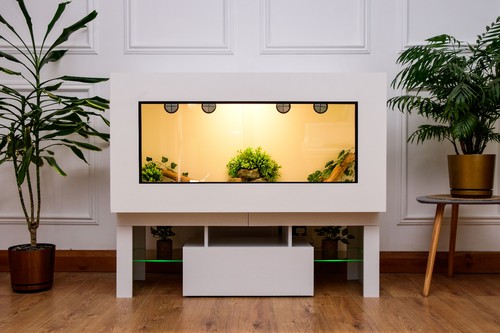 Large 2 modern reptile - large,