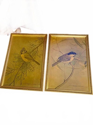 Pair green basil ede - basil,