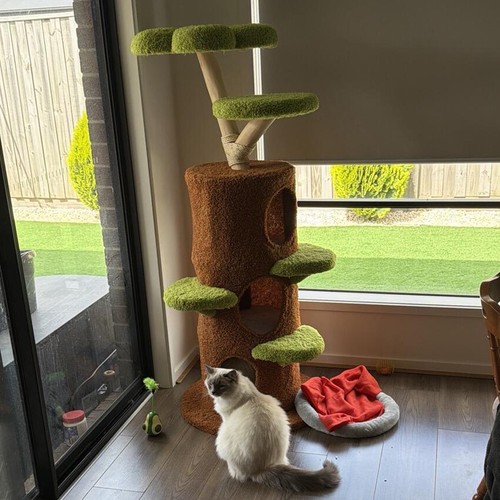 148cm tall wooden cat tree - cat,