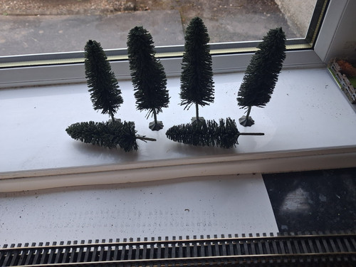 Large trees oo gauge - large,