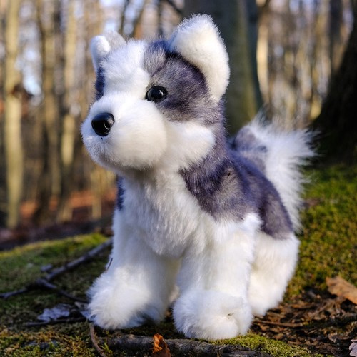 New douglas cuddle toy - ❦,