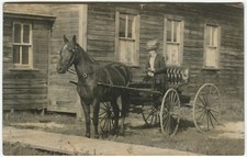 HORSE DRAWN CARRIAGE, WORKING HORSE, WOMAN - Social History Postcard, Real Photo