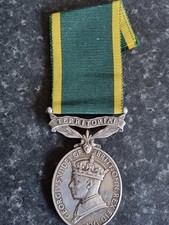 Territorial Efficiency Medal