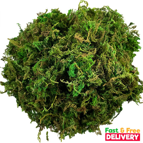 Artificial moss simulation - artificial,
