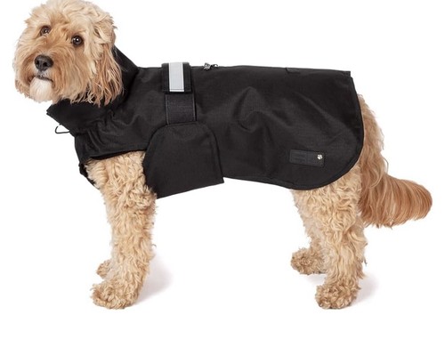 Danish design dog - design, 3-in-1