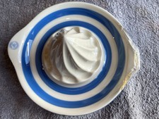 T G Green Cornish Blue Ware