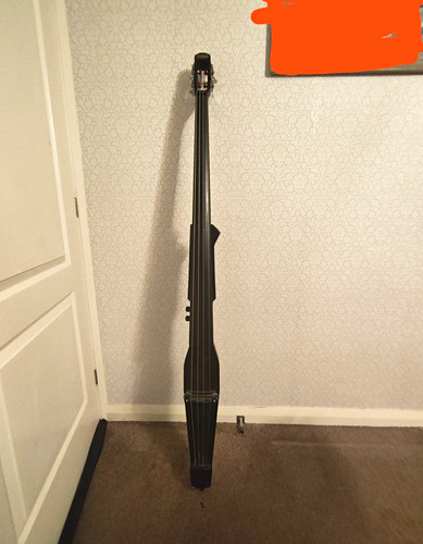Black electric upright bass - black,