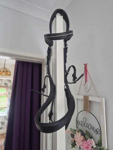 Black cob equine balance - cob,