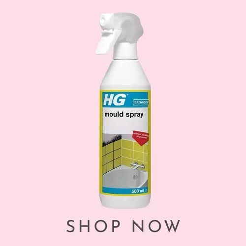 Mould remover spray - spray, 500ml