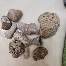 Rocks, Minerals And Fossils