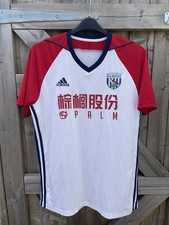 West Bromwich Albion 2017/2018