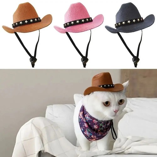 Pet cowboy hat - pet,