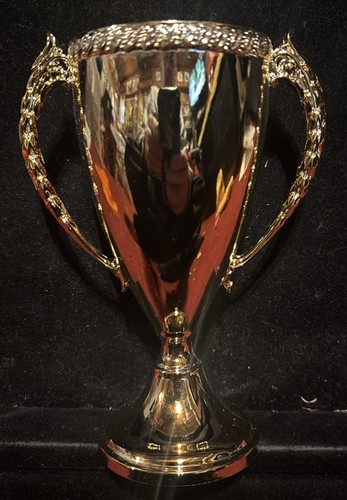 Vintage gold tone trophy cup - gold,
