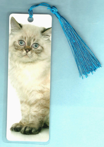 Ragdoll cat kitten - cat, bookmark