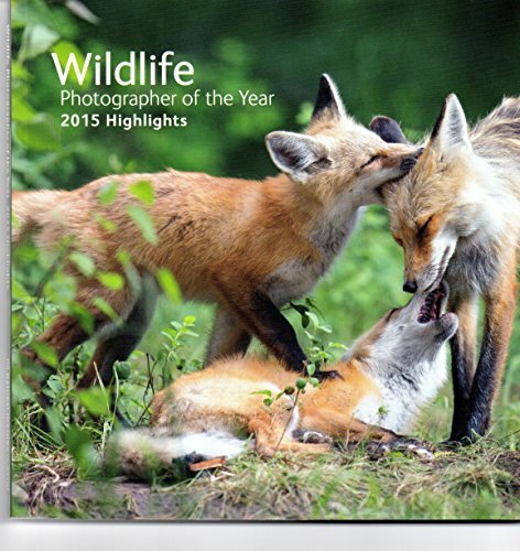 Wildlife photographer the - of,