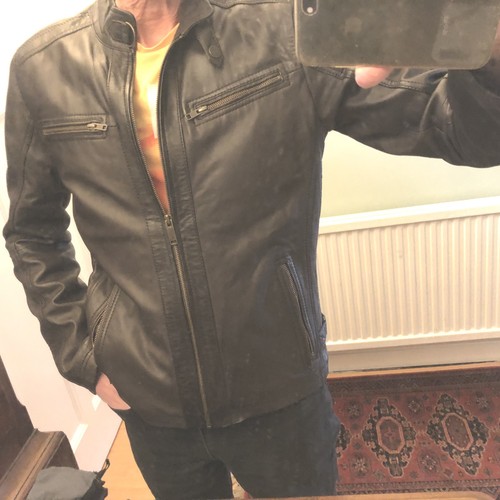 Collarless brown 100 - collarless,