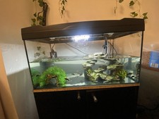 Fish Tank with LED Lights and Filter, decor 
