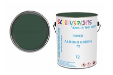 Classic Paint For Wolseley