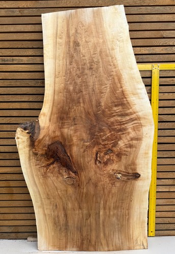 Large figured poplar - large,