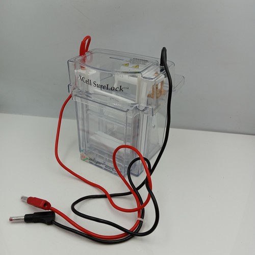 Invitrogen xcell surelock - xcell,