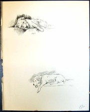 Old Vintage Print Rob Terrier