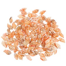  100 Pcs Fish Tank Ornament Creative Conch Decor Decorative Seashells