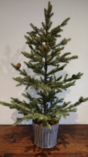 SOLD OUT - RUSTIC ZINC PLANTER 3FT NORDIC SPRUCE WHITE COMPANY CHRISTMAS TREE 