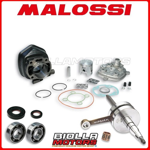 Cylinder kit shaft malossi - cylinder, +