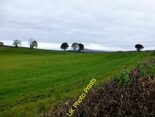Photo 6x4 Carony Townland