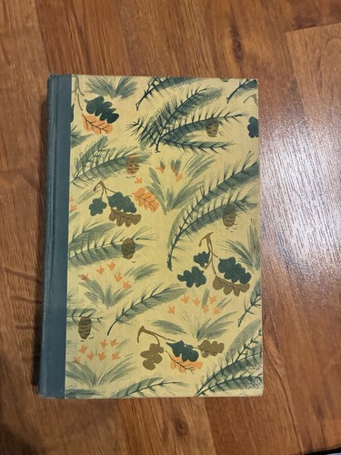 Vtg beautiful book - vtg,